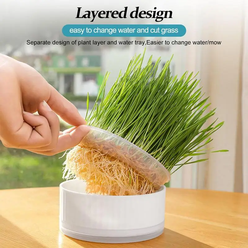 

Pet Cat Sprout Dish Growing Pot Catnip Planter Hydroponic Plant Grass Grower Detachable Planting Soil Free Grass Box Pet Aid