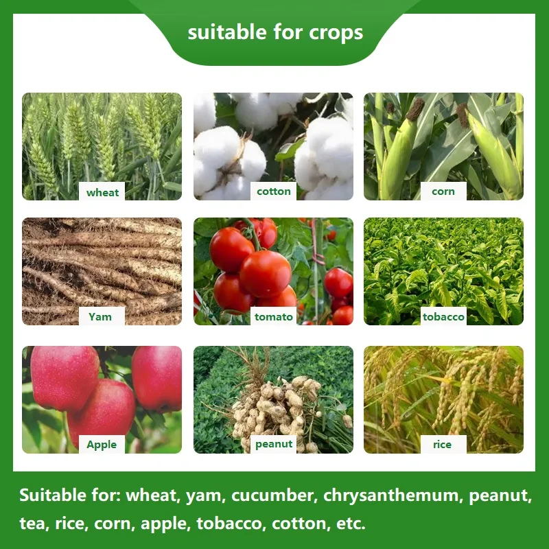 Humic Acid Foliar Organic Water Soluble Fertilizer Foliar Fertilizer Universal Compound Fertilizer for Fruits and Vegetables 40g