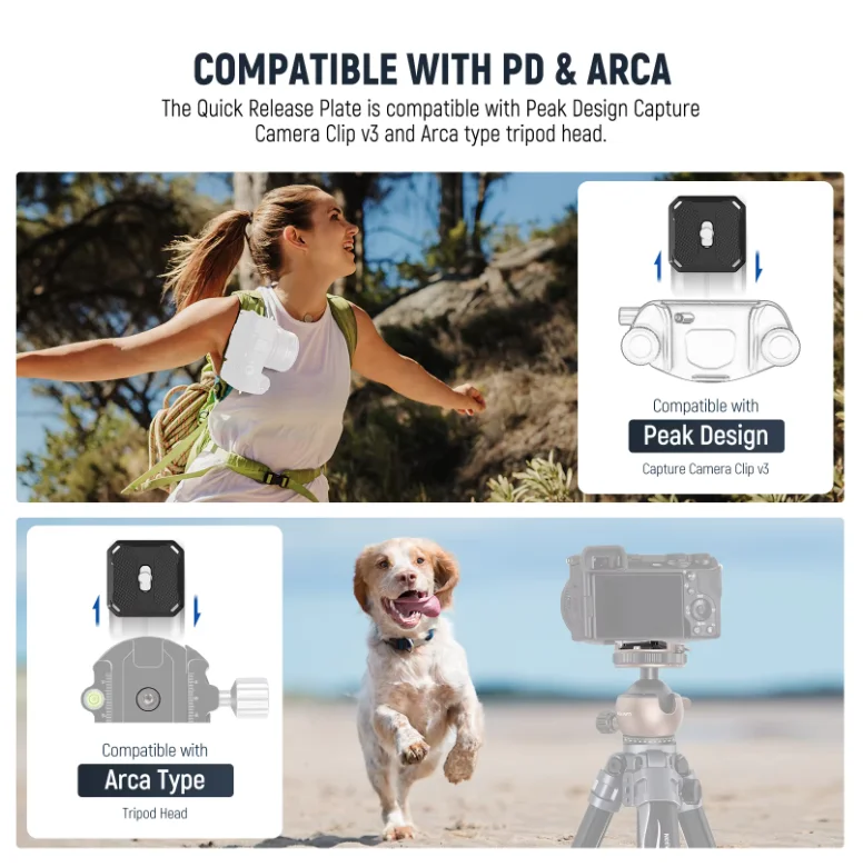 NEEWER GM41 Low Profile Tripod Ball Head 40mm Metal Panoramic Camera Mount Adapter with 1/4" Arca Plate For Peak Capture Camera