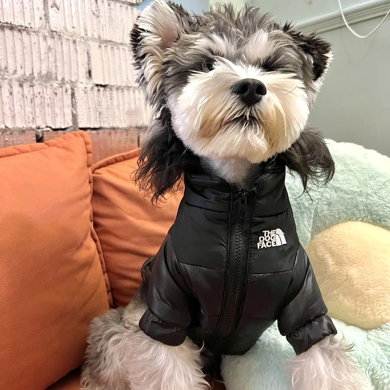 Pet Jacket Winter Dog Waterproof French Bulldog Yorkshire Chihuahua Small Medium