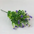 Purple-1PC