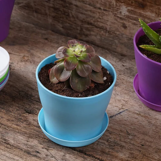 5pcs Mini Flower Pot with Tray Thickened Resin Plastic Ventilation Balcony Desktop Decoration Greenery Succulent Gardening TMZ 6