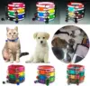 10Pcs Wholesale Cute Cat Collar Personalized Breakaway Reflective Cat Collar Luxury Designer Pink Cat Collars With Bell for Cats 5