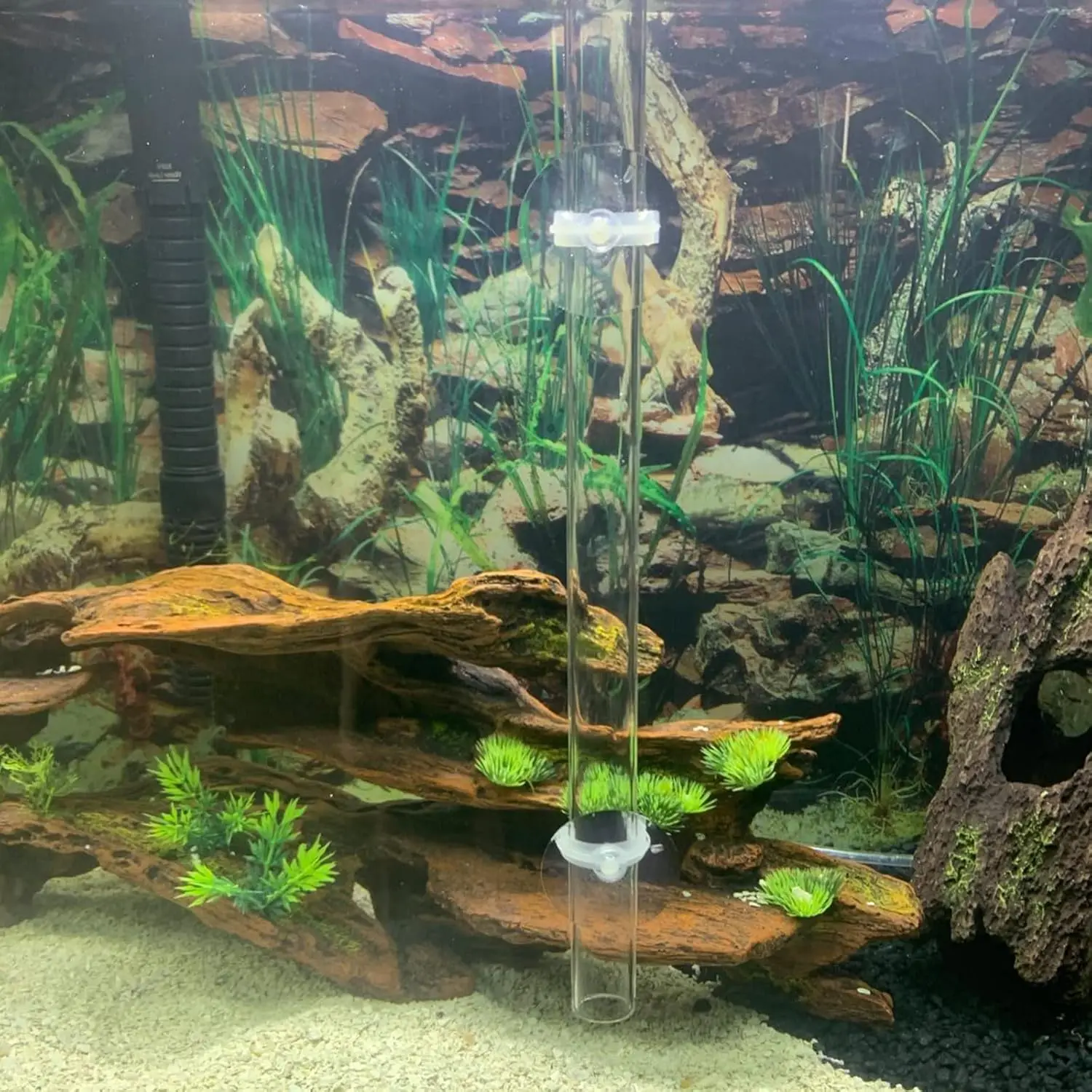Acrylic Fish Shrimp Feeder Transparent Durable Assembled Feeding Tube Feeding Dish Tray Set