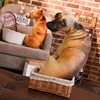 2023 HOT 50cm 3D Lifelike Animal Cute Bend Dog Printed Throw Pillow Funny Dog Head Cosplay Favorite Toy Cushion for Home 4