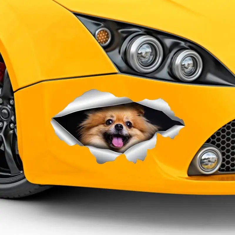  տ ڵ 3D ƼĿ, â ȭ ƼĿ, ڽƮ ҵ տ, ȭ ƼĿ,  ƼĿ,  
