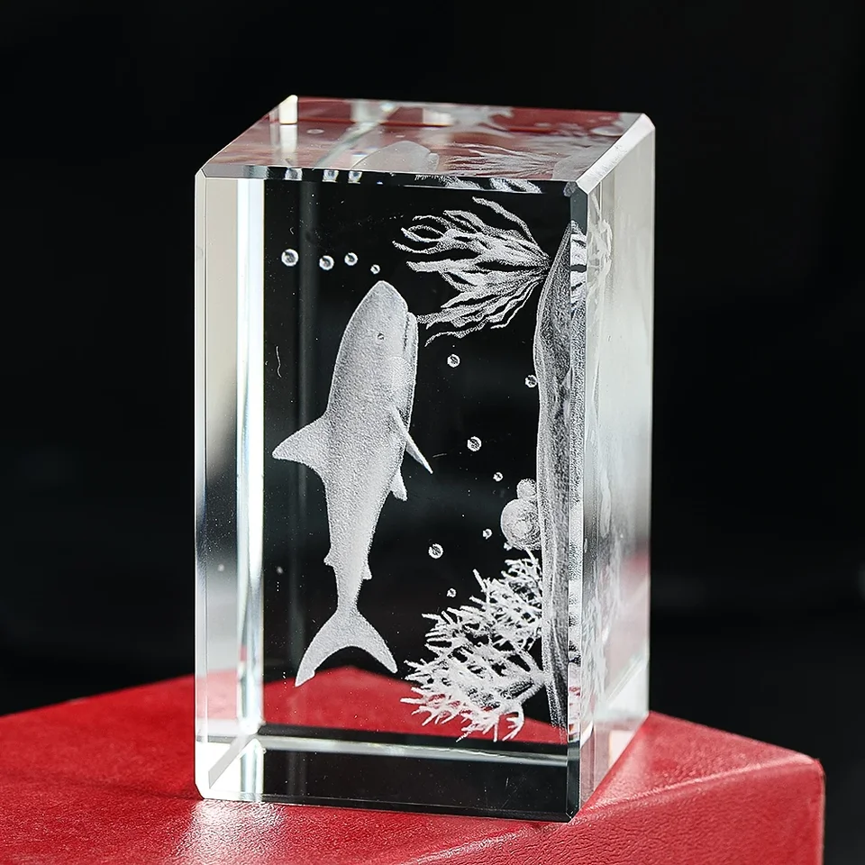 カラスザメ　標本 カラスザメ 標本 カラスザメ 標本 深海魚 カラスザメ - 動物大図鑑（裏