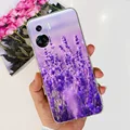 Case-c31