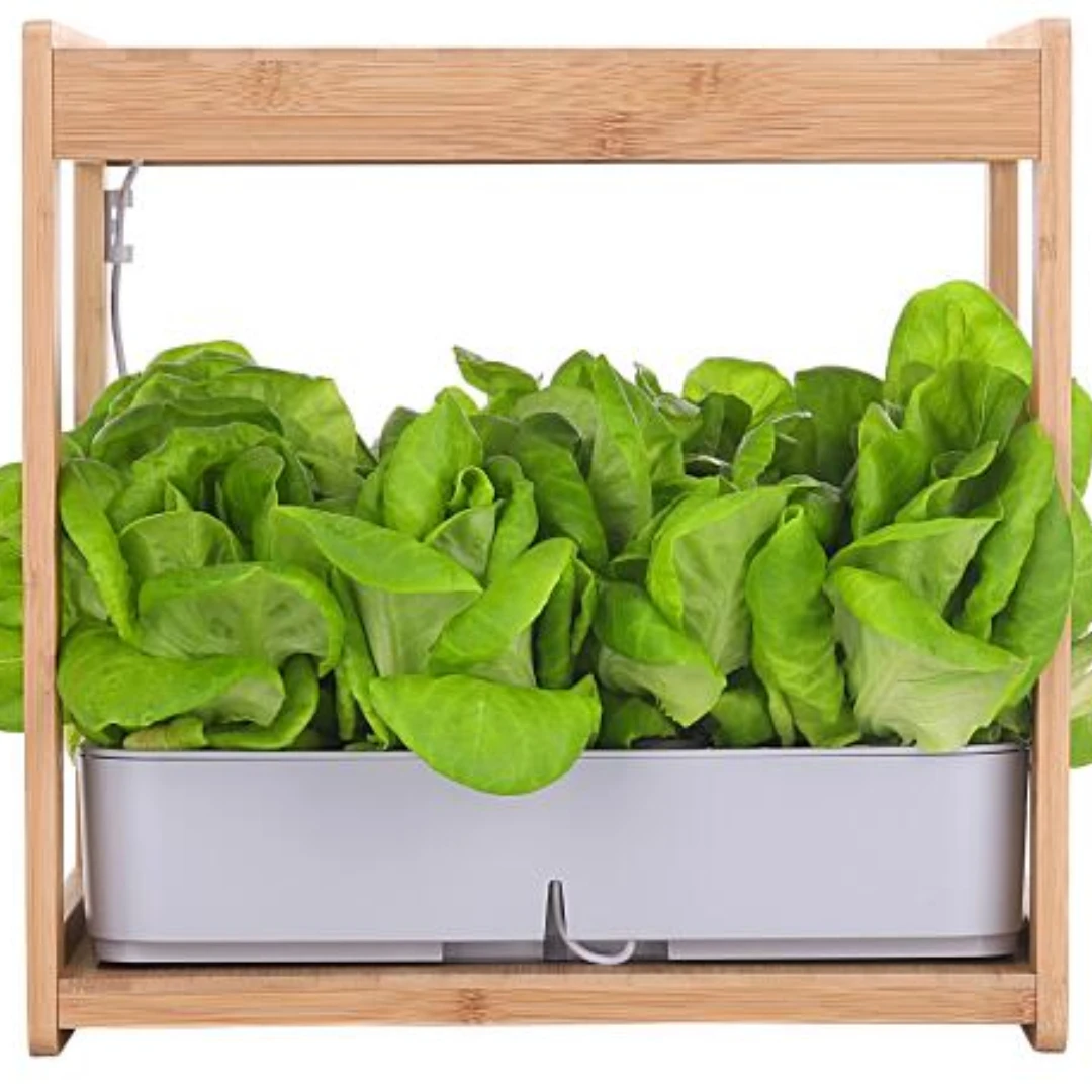 

Home Garden & Garden supplies
