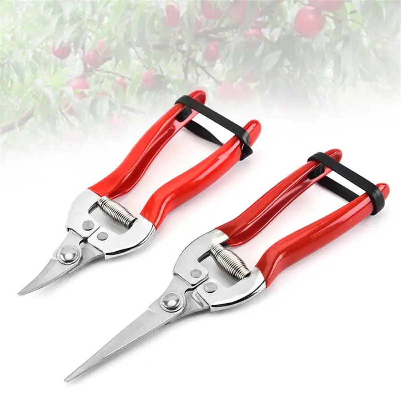

Stainless Steel Tree Pruning Garden Shears Grass Fruit Cutter Gardening Scissors Branch Pruners Red Thick Branch Branch Shears