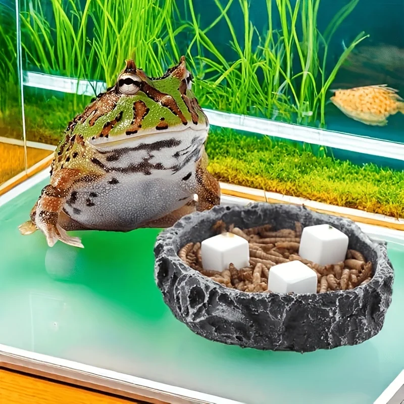 6 natürliche Kalziumsteine, Mineralblöcke, Aquarium, Glaskuppel, Dekoration für Garnelen, Einsiedler, Krabben, Schildkröten, Schnecken, Frosch, Dekor, Kunsthandwerk – Detail 6