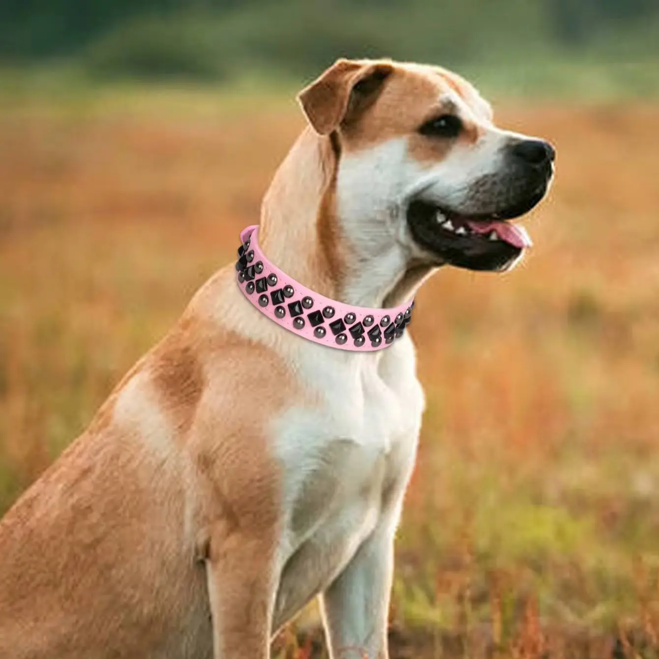 ECP037 durable pu leather pet dog collar metal nail buckle accessories neck protective collar for dogs dog collar pet collar