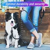 300cm Nylon Reflective Pet TractionRope Small medium-sizedmulti-color Circular tractionrope comfort handle dog leash Pet Product 6