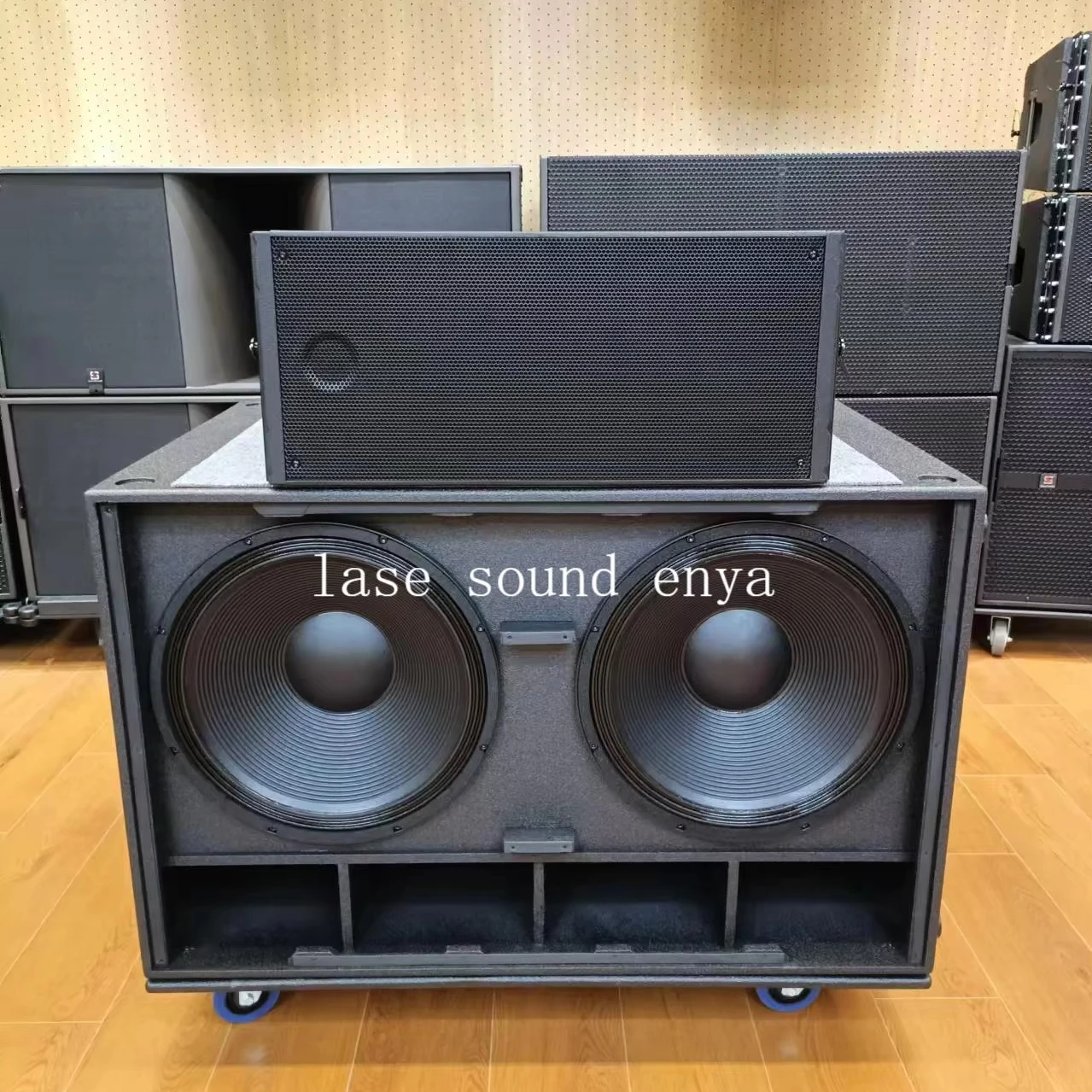 Professional Outdoor Concert Sound System HDL 20A Dual 10-Inch