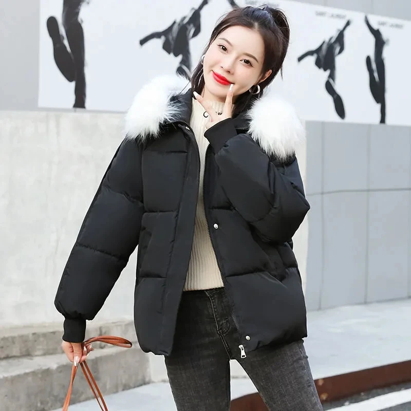 2023 Off-season Cotton Jacket Korean Version Versatile Thickened Student Bread Jacket Winter Coat Short Cotton Jacket ins Trend