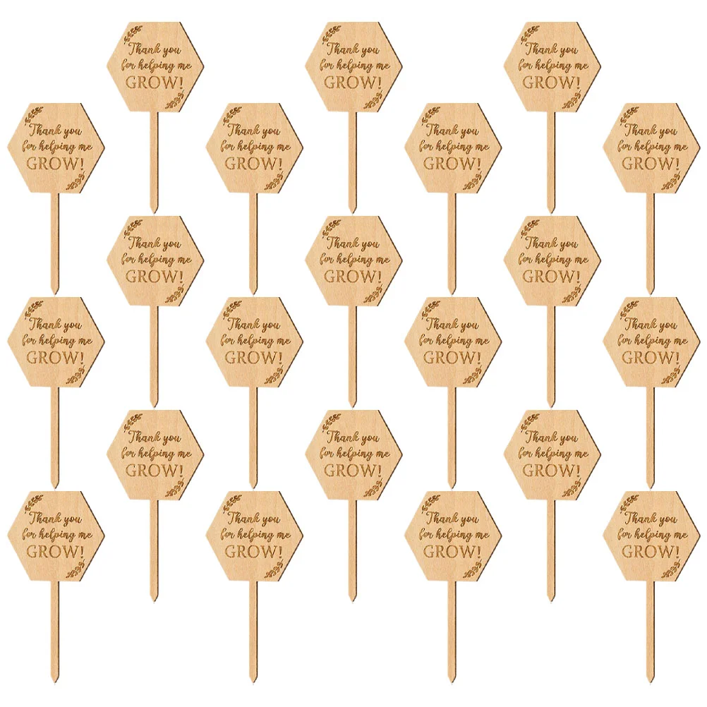 

Wood Gardens Tags Garden Potted Yard Signs For Plants Wood Labels For Plant Growth Succulent Lettering Floral Wood Inserts