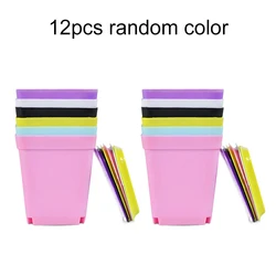 Colorful Mini Square Flower Pot with Tray - Succulent Planter for Home and Office Decor (12pcs random)