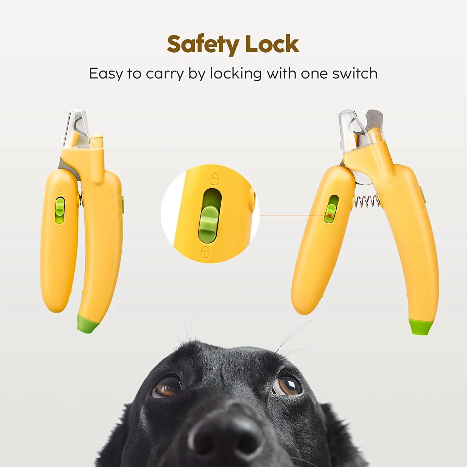 Can You Use Human Toenail Clippers On Dogs