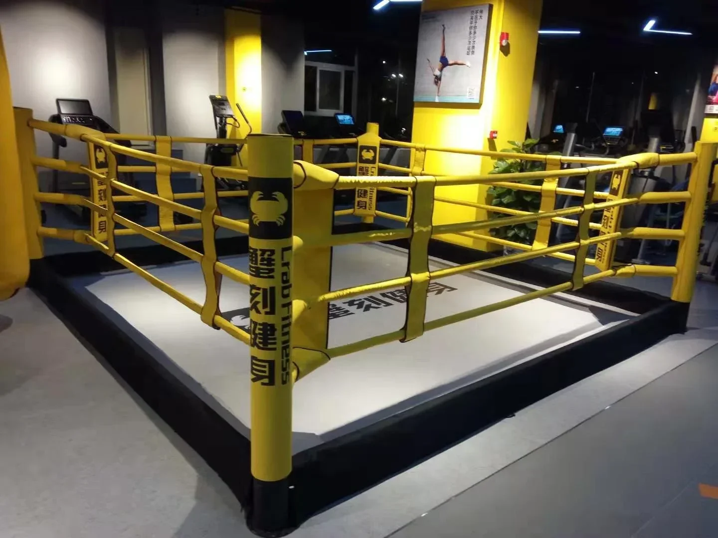 International Standard Quality Boxing Ring Stairs For Steel Wrestling Ring Boxing