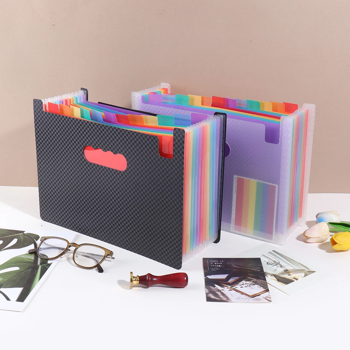 Checkerboard Pattern 13-Compartment Portable Storage Folder for School and Office Documents