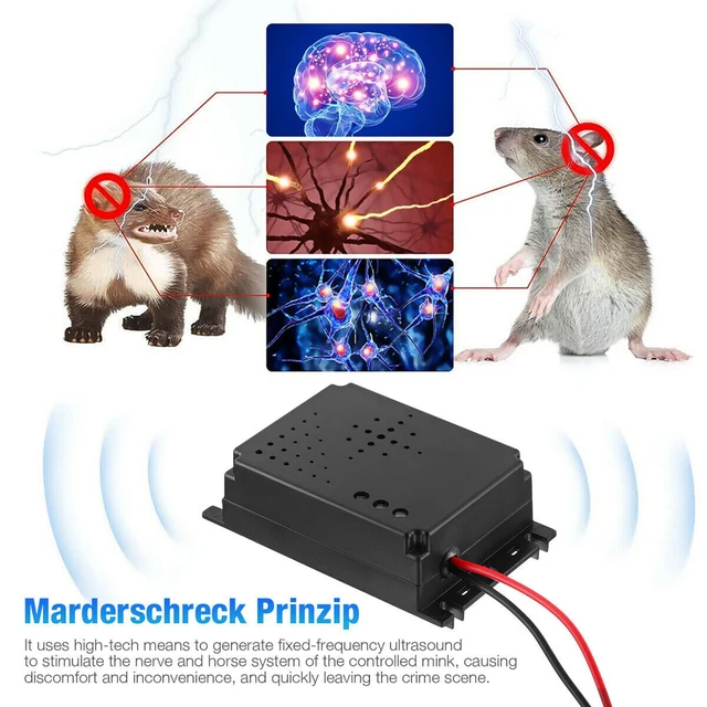 12 V Ultrahangos Kártevőirtó Készülék Gépjármű-Járművekhez Nem Mérgező Elektronikus Egérriasztó Tartsa Meg A Rágcsáló Marten-T, Tálalásgátló Repelle - Image 2