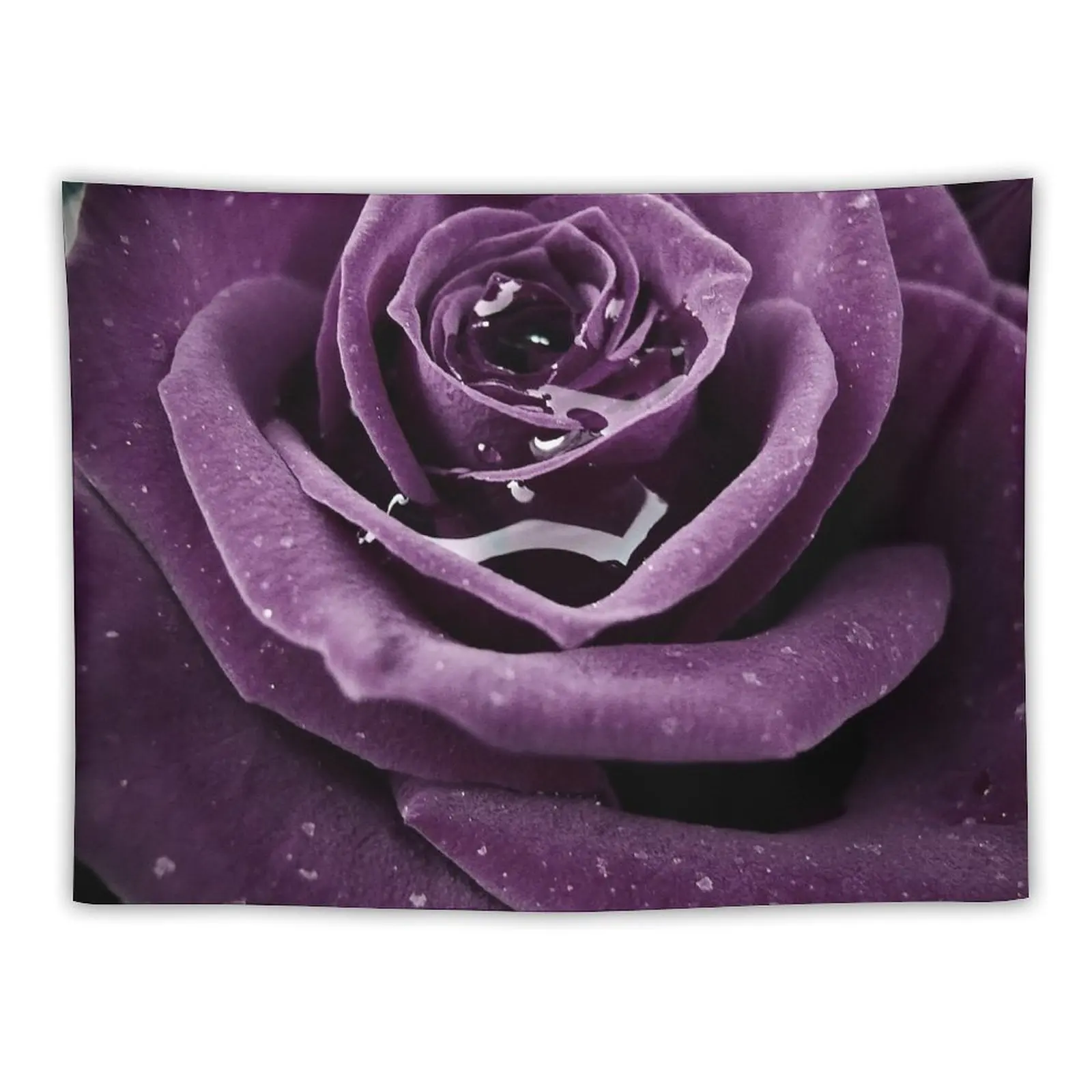 

Purple Rose I Tapestry Decoration For Rooms Room Decoration Korean Style Japanese Room Decor Room Decorating Aesthetic Tapestry