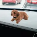 Dachshund