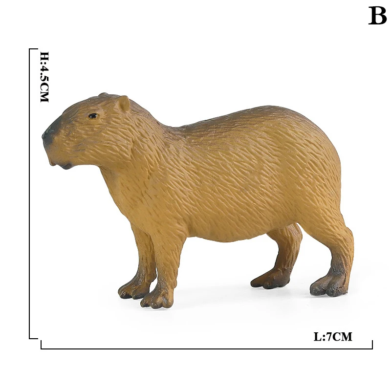 Animals Sitting Capybara, Capybara Tabletop