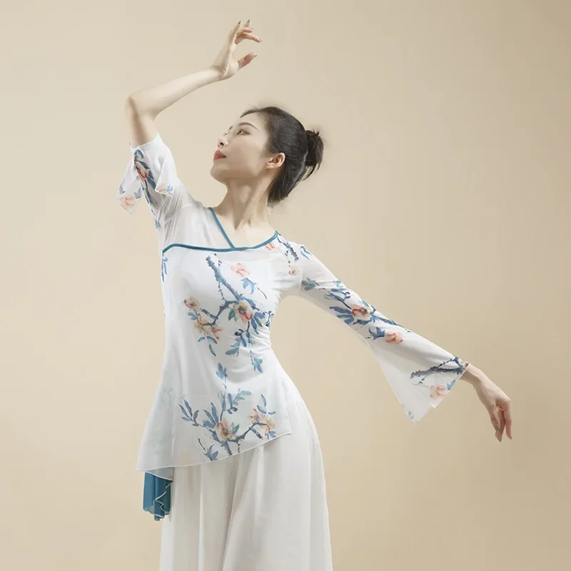 

WATER Chinese Classical Dance Costumes Women's Shirt Long Sleeve Mesh Body Rhyme Tops Practice Flowy Wear Adults Practice Woman