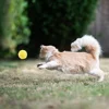 Pet Cat Dog Interactive Smart Ball Toy for Active Rolling Ball Bite Resistant Plush Cover Dog Toys Pet Supplies 6