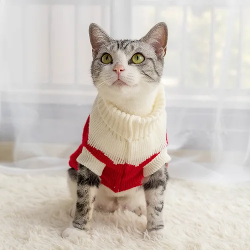 강아지 고양이 스웨터 겨울 따뜻한 강아지 옷, 소형 중형견 치와와 닥스훈트 코트, 프렌치 불독 요키푸들 애완 동물 복장 3