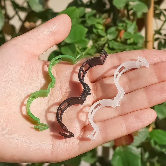 10/20/50 db Növényi Klipek Műanyag Szőlő Tartó Paradicsom Függő Láthatatlan Szőlőmászó Rögzített Konzol Kerti Készletek - Image 4