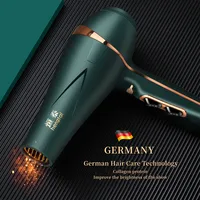 Newly Upgraded Professional Hair Salon Hair Dryer Recommended By 29 Second Quick Drying Negative Ion Mute Home Hairdresser 1