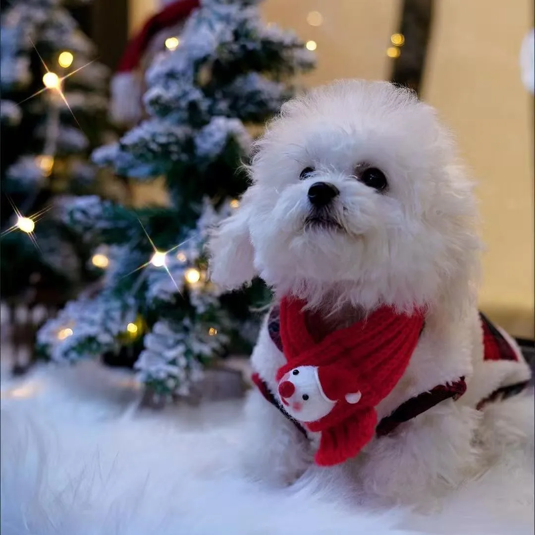강아지 겨울옷 강아지 가디건 애완견 코트 고양이 재킷 치와와 프렌치 불독 조끼 크리스마스 강아지 의류 강아지 코스튬