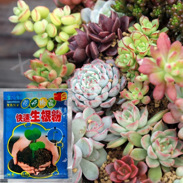 10 db A Gyökérnövekedéshez Palántákhoz Segíti Csírázást Virágzás Gyors Gyökérporja Elősegíti Növény Növekedését Erős Gyökérrendszer - Image 5