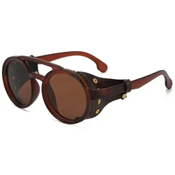 Steampunk Round Sunglasses with Side Shields and UV400 Protection (A6)