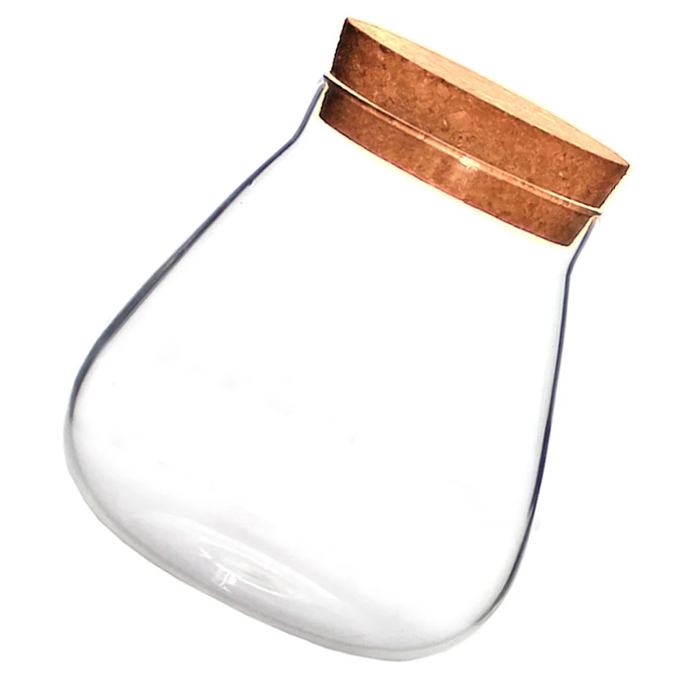 Cork Glass Bottle Plant Small Mason Jars Round Terrarium with Lid Basket Clear Succulent Pot Display Suite Decorate 6