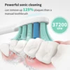 SEJOY Oral Cleaning Electric Tooth Brushes Long Lasting Smart Rechargeable Automatic Ultrasonic Electric Toothbrush 3