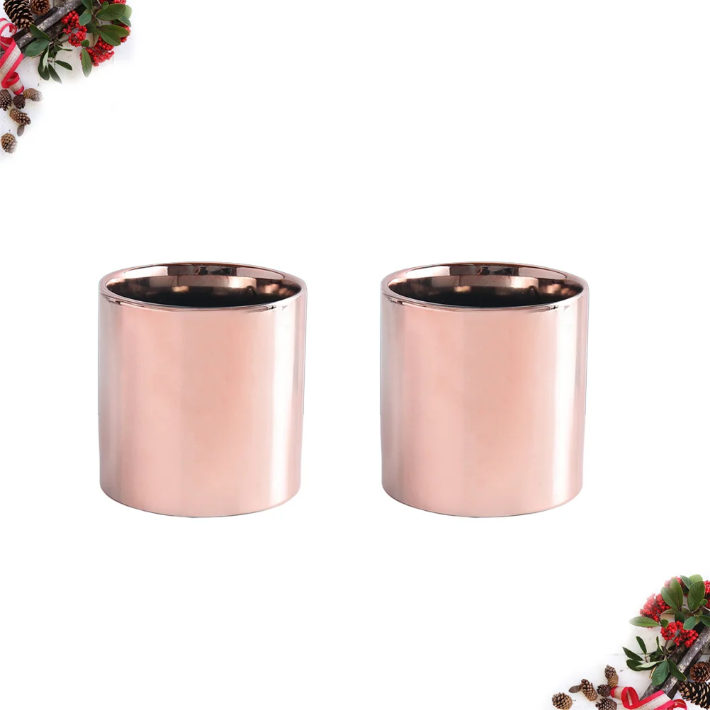 

2 Pcs Plant Terrarium Flower Pot Succulent Container Pots for Indoor Vase Desktop Decor
