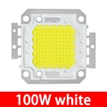 LED 100W  White