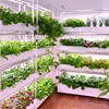 Intelligent planter indoor large soilless cultivation complete set of equipment vegetable strawberry planting box 1