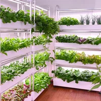 Intelligent planter indoor large soilless cultivation complete set of equipment vegetable strawberry planting box 1