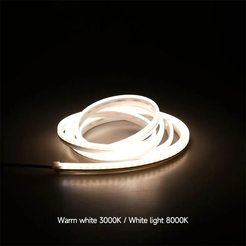 ׽  Y 21  ڵ Ʈũ   Ʈ Ʈ , LED Ʈ  ,  ׸  