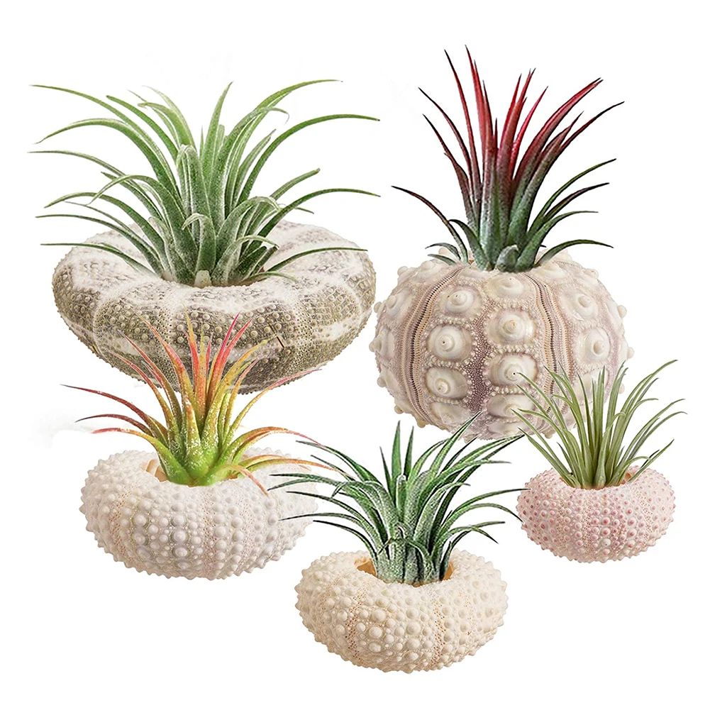 3 Conseils Pour Réussir La Décoration D'une Maison De Plage