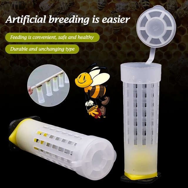 20 Pcs Queen Cage Toing Cover Capter, King Védő Borítója Megakadályozza A Méh Harapós Ketreceket, Méhészeti Lárva Szerszám