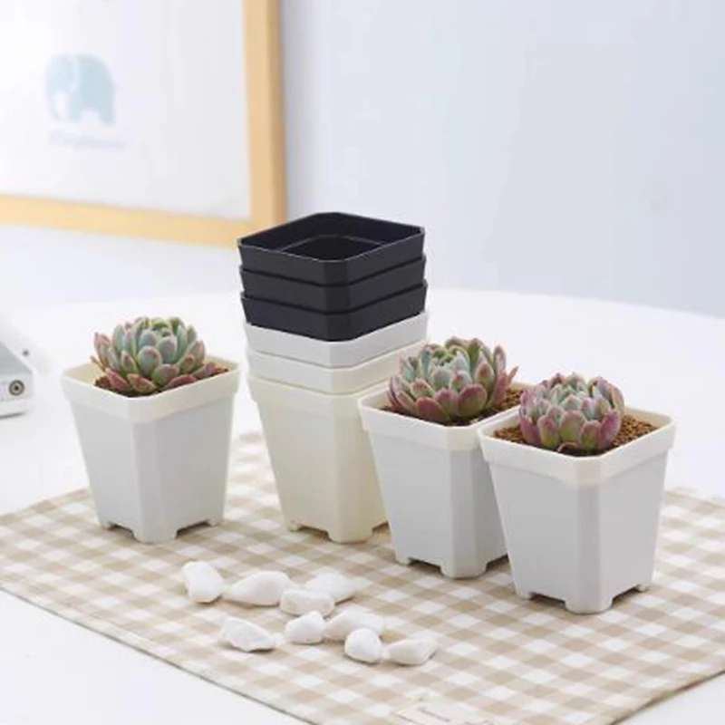 60個 プラスチック ポット花 多肉植物 苗 移植 プランター 60個