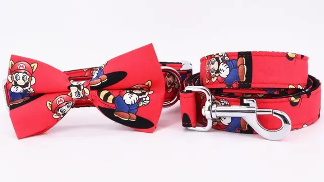 collar-bow-leash