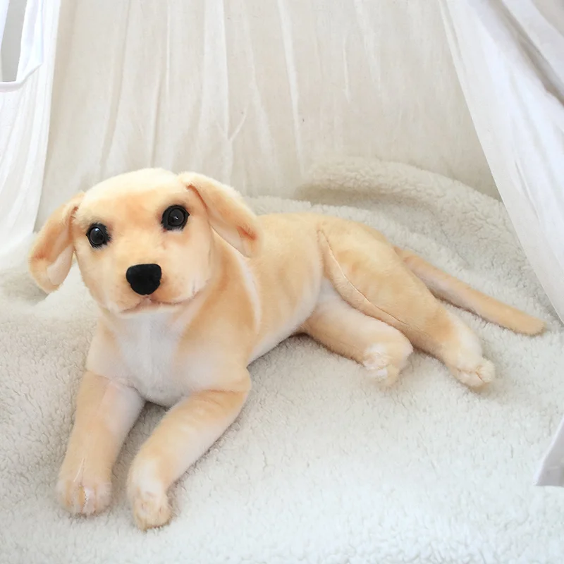 Sd9c7b6bbc74e4bc7b23d6ae2ff3bee273 - Golden Retriever Gifts