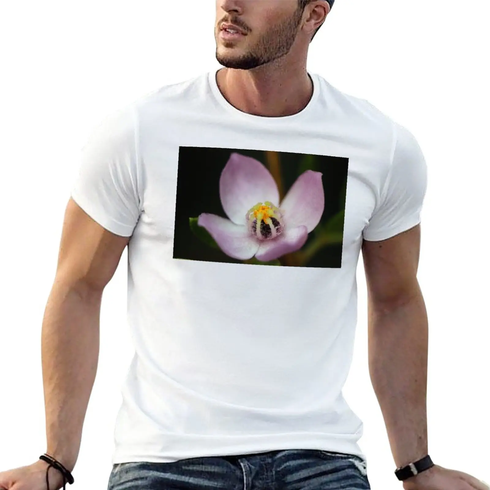 

New Boronia safrolifera T-Shirt Short t-shirt animal print shirt for boys plain white t shirts men