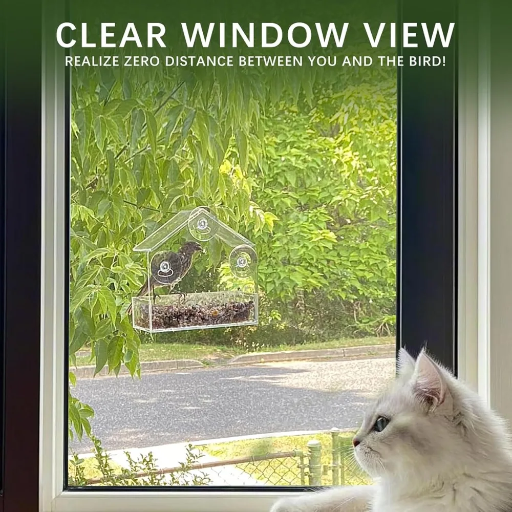 Clear Window Bird Feeder 5